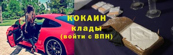 стаф Магас