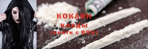 стаф Магас