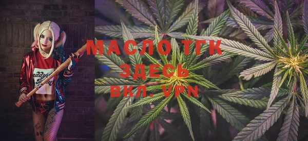 стаф Магас