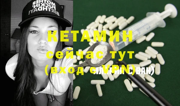 стаф Магас