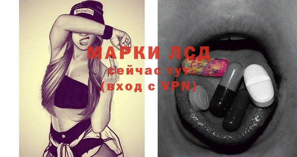 стаф Магас