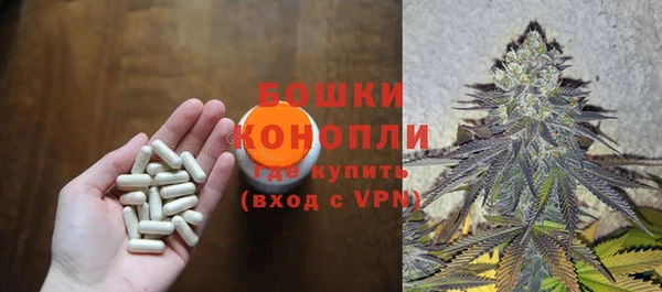 эйфоретик Майский