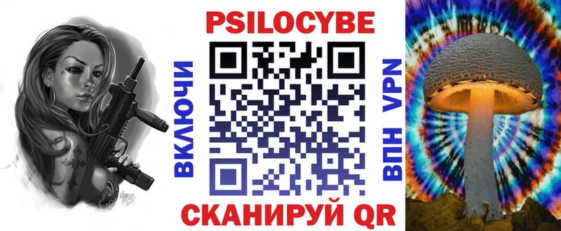 Галлюциногенные грибы Psilocybe  Керчь 