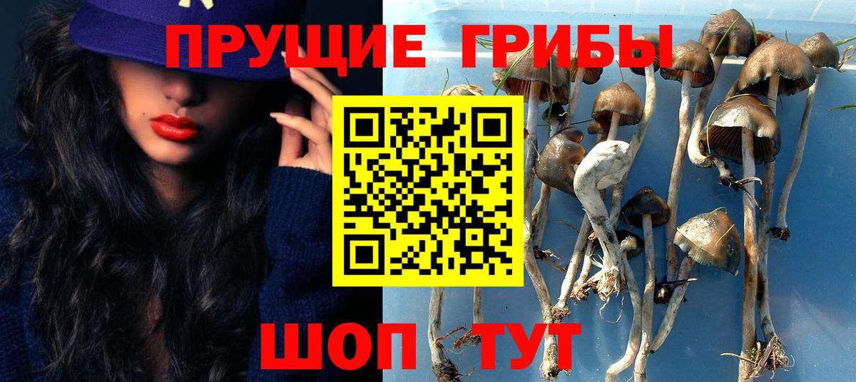 Псилоцибиновые грибы мицелий  Керчь 