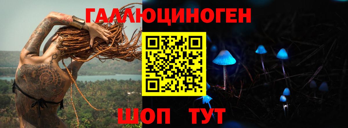 Керчь  Галлюциногенные грибы Psilocybe  Вход с VPN 